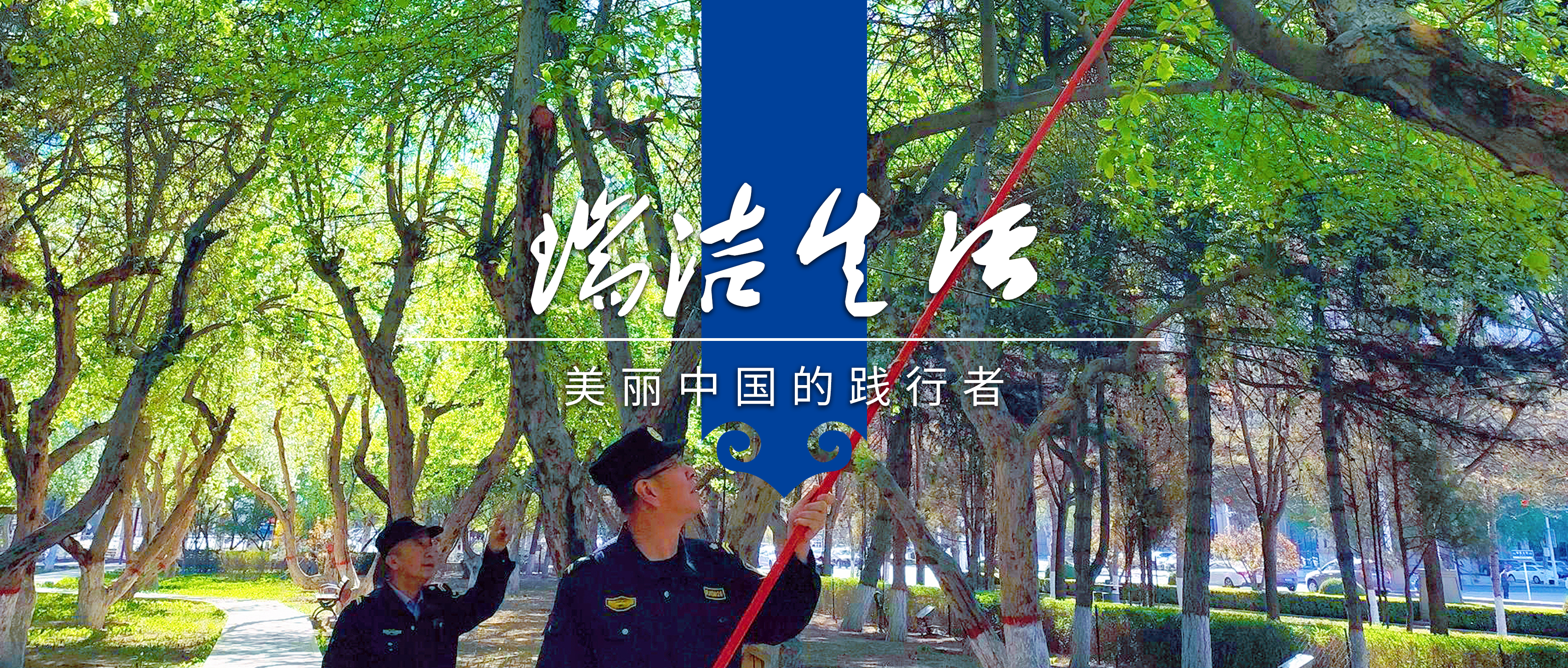 昆区修剪果树1.jpg